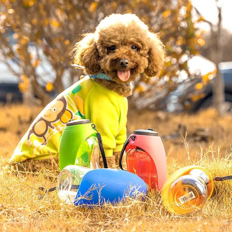 Portable pet water bottle with collapsible bowl for easy travel