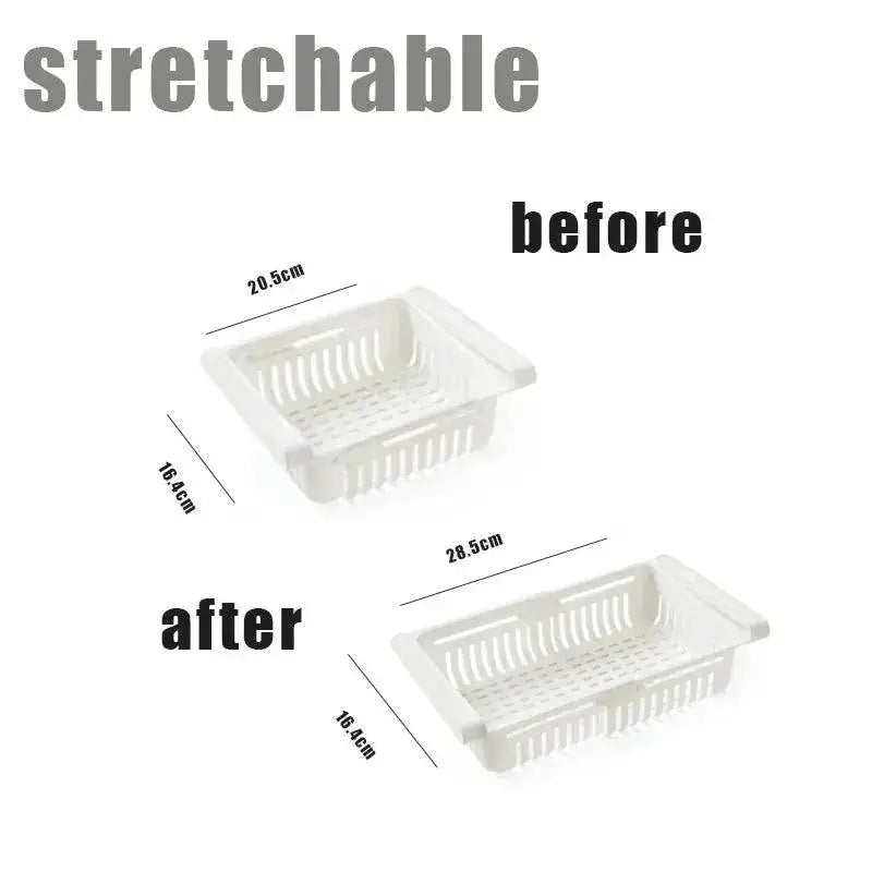 Food preservation box keeping leftovers fresh longer