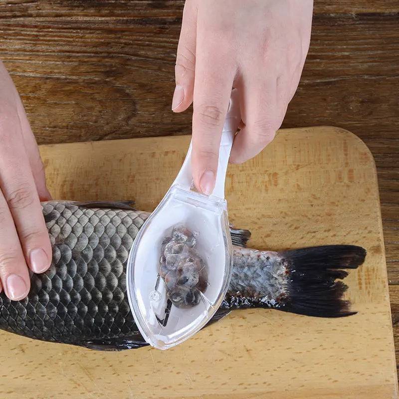 Essential Fish Cleaning Tool for home chefs  